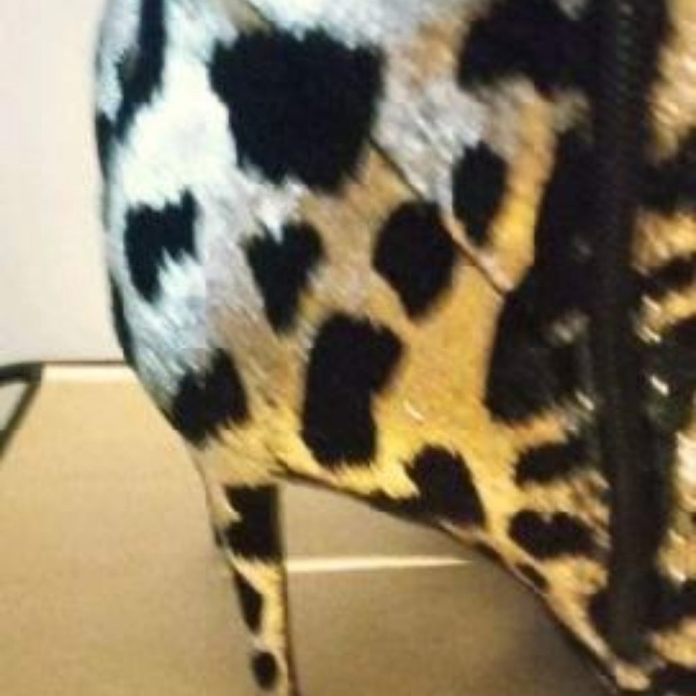 Shoes - Picture 2 of 6